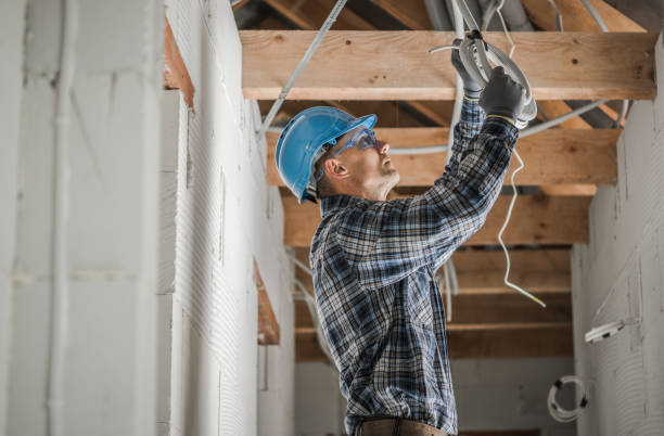 Best Electric Panel Repair  in Flagstaff, AZ